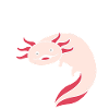 Axolotl