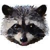 Raccoon, predator, wildlife, polygon