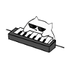 Cat DJ on the keyboard