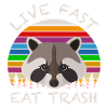 Raccoon retro