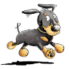 Brisk Dachshund - Dachshund - Teckel - Gift