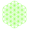 Flower of Life 15