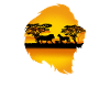 Lion Africa gift