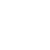 architect