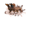 Dackel Gruppe