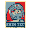 Shih Tzu dog gift