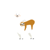 Alpaca with sloth