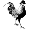 rooster