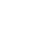 Brudi