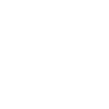 Jack Russel Terrier