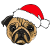 Christmas Pug