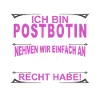 Postman Postman Post Funny Gift