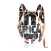 American Akita W
