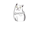 Os de chat humérus