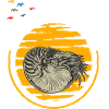 Escargots marins animaux marins