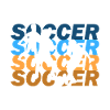 Footballer soccer player