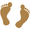 Pieds