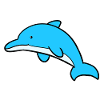 Cute dolphin