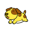 Small dog