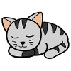 Sleeping Kitten