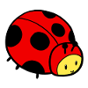 Young ladybug
