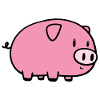 Little pig