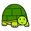 Little turtle