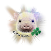 Lucky Pig - Pig Good luck