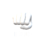 Brudi T-Shirt