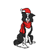 Border Collie Christmas