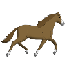 horse brown