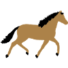 Pferd vektor