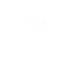 papasaurus
