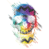 Geometric Skull