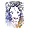 Lion Galaxy