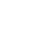 racoon