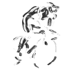 Radsport