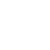 SWAT Team SRT Sceriffo per leo fuori servizio legge poliziotti