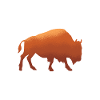 Buffalo