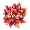 Dream