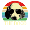 Goldendoodle chiens de race