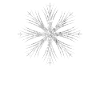 Silver Snowflake Design