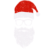Hipster Christmas Santa Claus beard