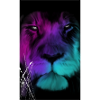 BlackBullLion