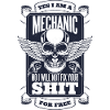 Mechanics Skull Rock