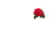 Rote Rosen-Design-Geschenkidee