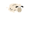 SHEEP HAPPENS - c'est comme ça
