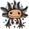 Bébé Axolotl