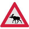 Warning Moose Sign
