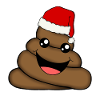 CHRISTMAS POOP